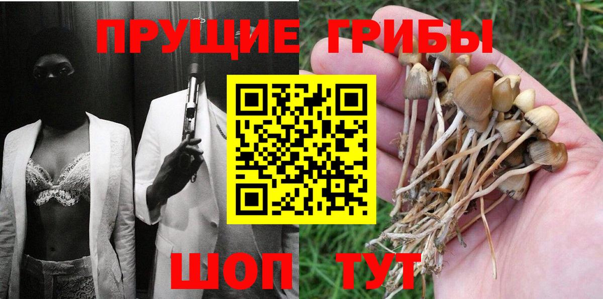 Псилоцибиновые грибы мицелий  Вход с VPN  Саки 